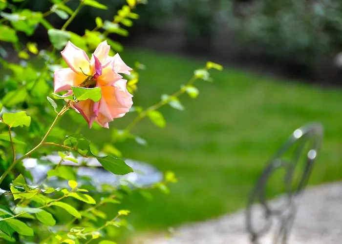 D'argouges 3* Bayeux